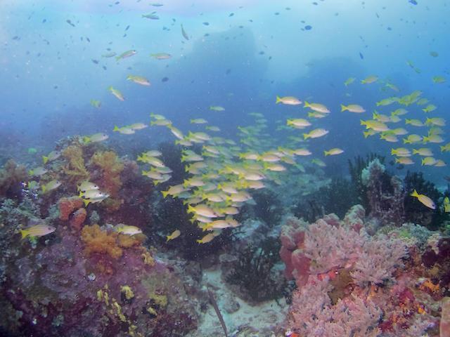 Nomad Divers Bangka Likupang Kültér fotó