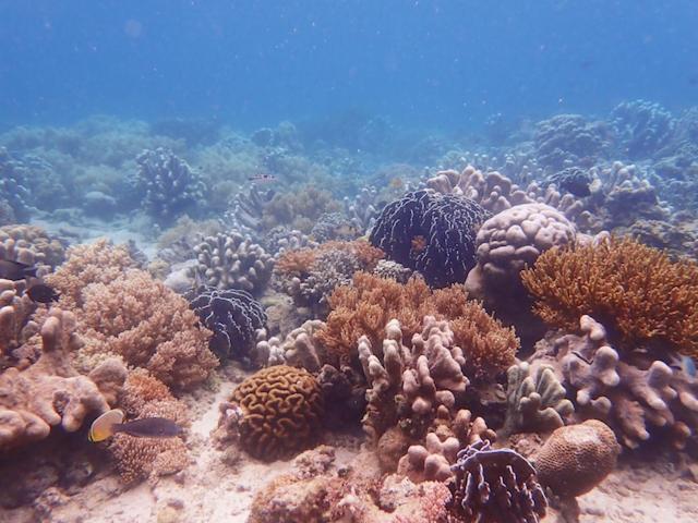 Nomad Divers Bangka Likupang Kültér fotó